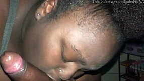 bbw enjoying a casual chat while sucking