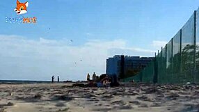 Horny amateurs indulge in public anal sex on the road