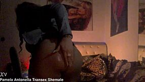 Mony Trans Torino 3248405735