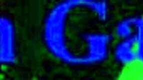 arranged a wild house party and my wife ended up banging the ifood delivery guy