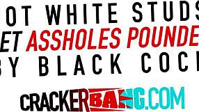 i love blowing that big black cock