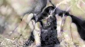 vintage nineteen 18+th century erotic art collection uncovered