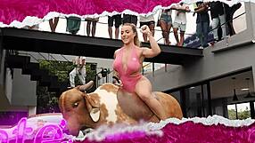 i measured the big tits and ass of these california amateurs