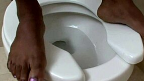 this sweet mouse horny cock opens cunt drops reward