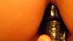 i explore irani culture and heritage