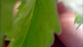 Bang Trans Friend At Rave In Woods