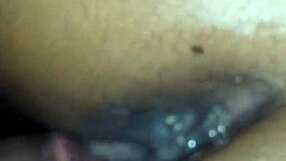 amateur adventures in everyday life