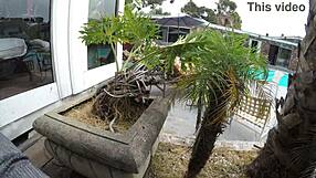 Gigi Breeze Caught Tanning Nude