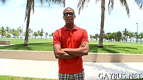 Jump to the realm of gay porn with no cost to be incurred
