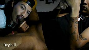 Watch her suck that big black cock?