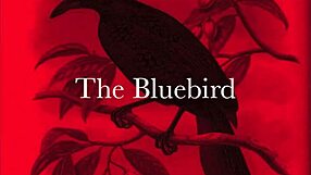 Dark lantern entertainment presents the dragonfly scene 2 pt 2