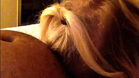 I crave Jenna Jaymes' interracial blowjob