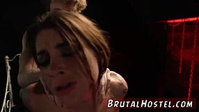 i discovered my stepmom's porn with excited tourists felicity feline