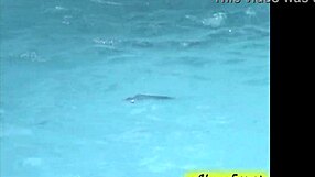 Young nymphs splash in the motel pool, flaunting natural tits and asses.