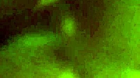 Intense Ecstasy with Big Tits and Monster Cock Again