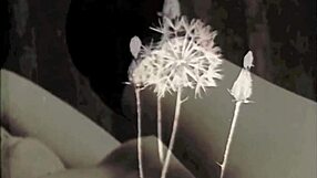 Vintage threesome with hairy pussies and double cock action.