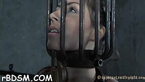 Shocking tale of honey bound and forced into submission.