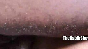 super booty from chicago gets doggy styled by mr stixx