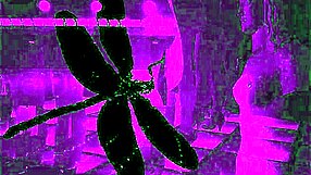 Dark Lantern Entertainment Unveils Dragonfly Knight Errant