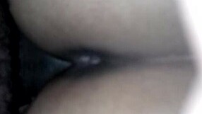 Wife on All Fours Craving Vaginal Ecstasy