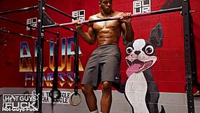 Pornstar Tries Doggystyle and Creampie for First Time