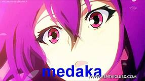 Top 5 hentai animes ecchi remastered