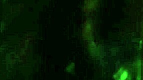 brazilian beauty rides cock with natural tits bouncing wildly