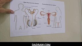 Leia Rae Learns Male Parts from Stepdad Instruction