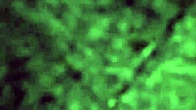 my girlfriend can't get enough of her friend's cock in her ass