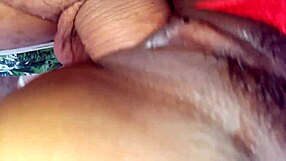 Mete Ne Min Tio To Com Vontade