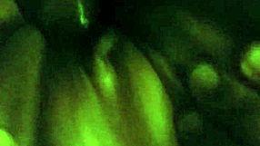 fuck her all day with big cock sucking and orgasm on big tits and ass