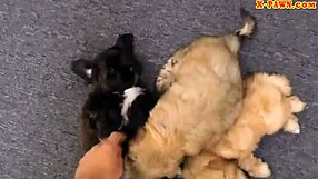 Blonde Puppy Lover Fucked Hard by Pawn Keeper