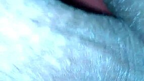 More Ebony Interracial Encounters