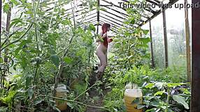 Naked Wife Exposed In Greenhouse