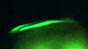 can that big ass boy handle this bbc?