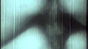 My Secret Life: Two Centuries of Vintage Pornography