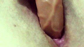 arianna asks to be my step daddy in close up homemade video