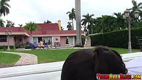 Sun Bathing Babe Kimber Woods Ass Fucked by Voyeur!