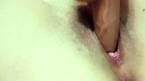 arianna asks to be my step daddy in close up homemade video