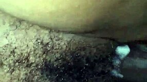 trim ef3497dd-c05d-41d8-bd74-a8939509bd21 mov