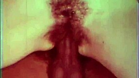 Is Chocolate And Ginger Taboo Forbidden Fruit?