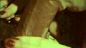 Is Chocolate And Ginger Taboo Forbidden Fruit?