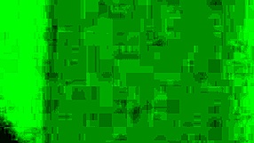 worship my wife's big black ass now