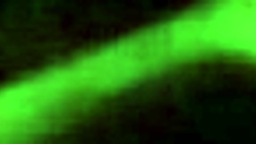 worship my wife's big black ass now