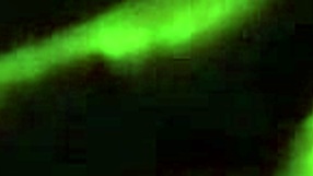 worship my wife's big black ass now