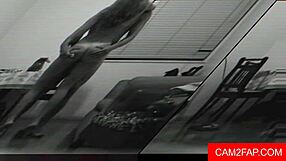 Adorable Screaming Slut Fucked At Wedding Reception