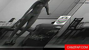 Adorable Screaming Slut Fucked At Wedding Reception