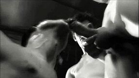 peto marcell in gay scenes