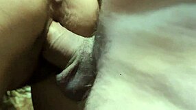 Did you fuck that bitch in doggy style and cum on her?