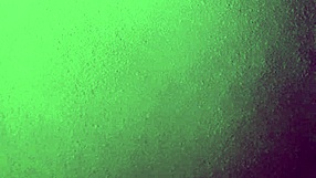 Black shemales searching for my dream girl.